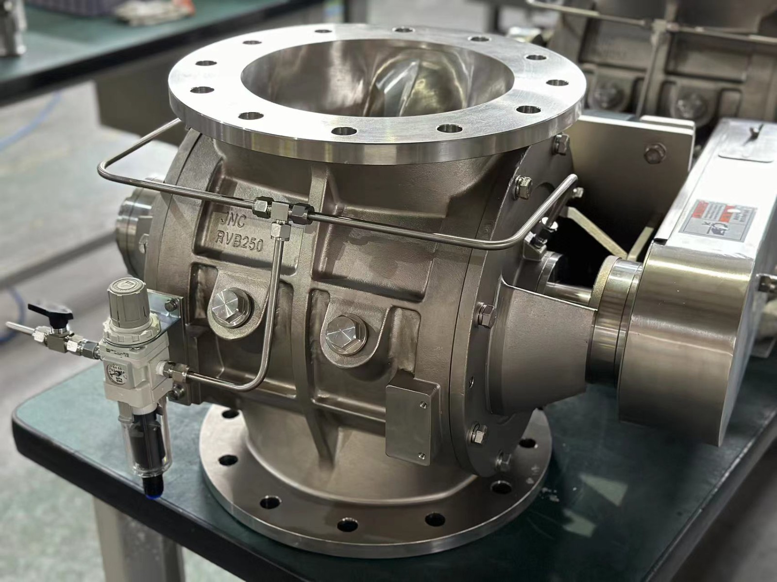 Granular rotary valve